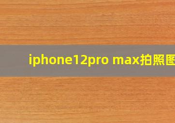 iphone12pro max拍照图片